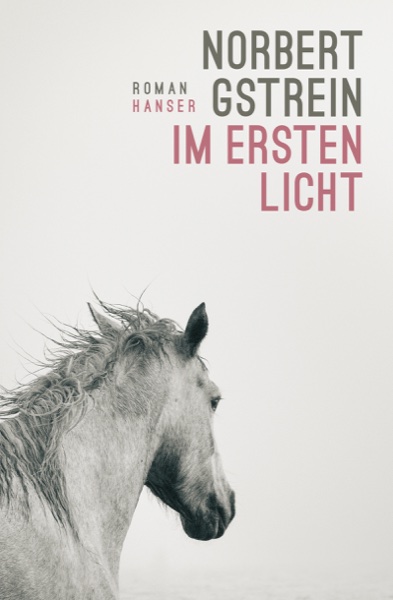 Cover: Im ersten Licht — Norbert Gstrein